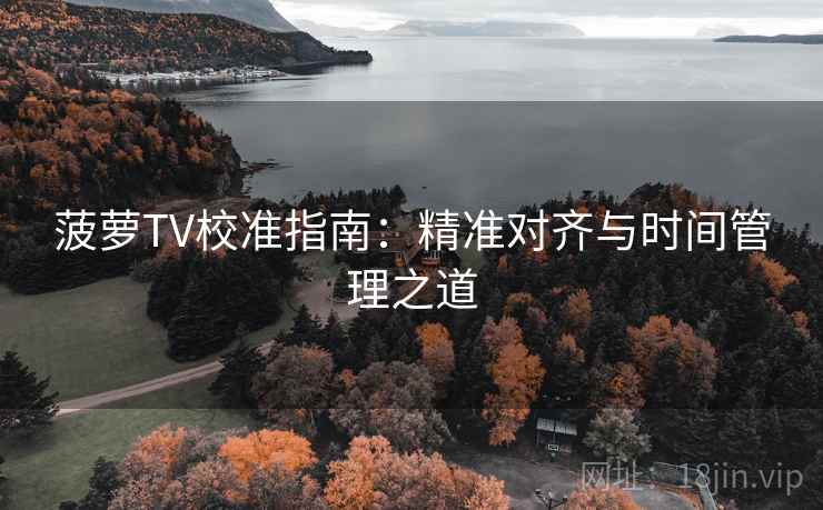 菠萝TV校准指南：精准对齐与时间管理之道